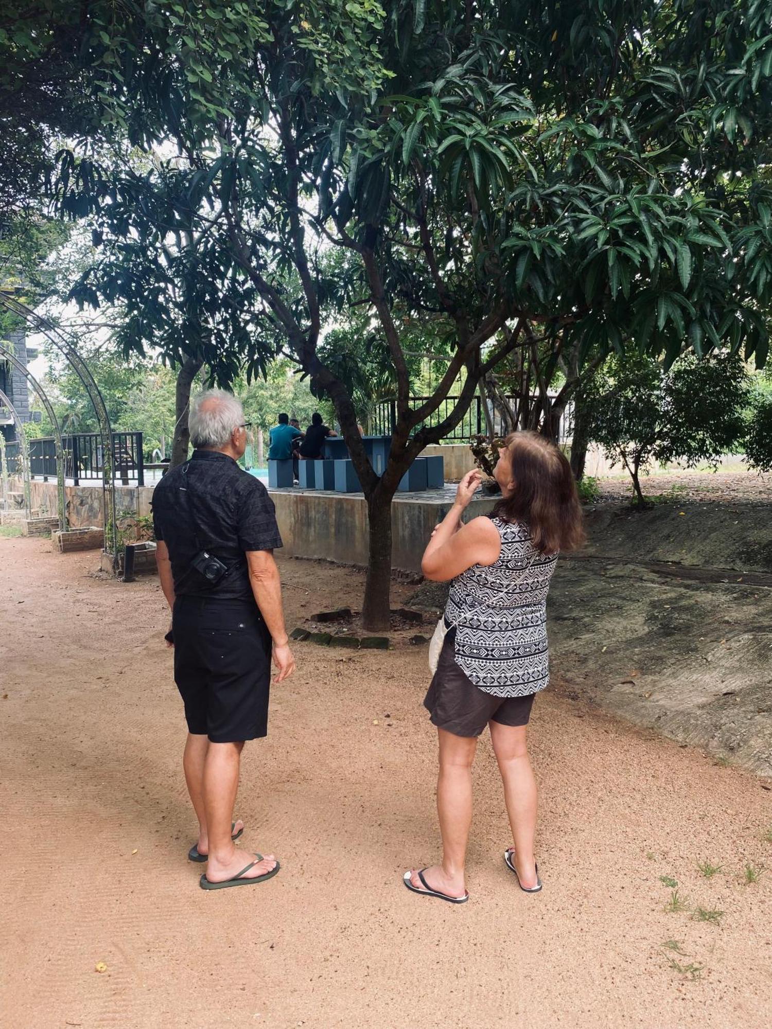 Sigiriya Kingdom Resort Dambulla Buitenkant foto