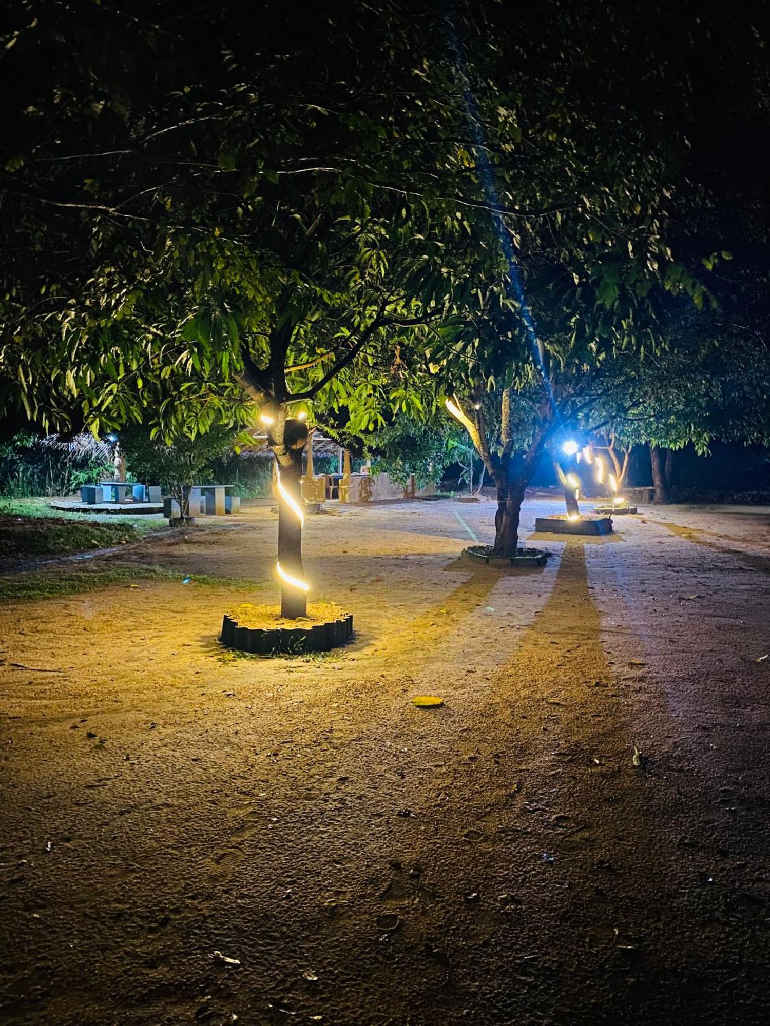 Sigiriya Kingdom Resort Dambulla Buitenkant foto